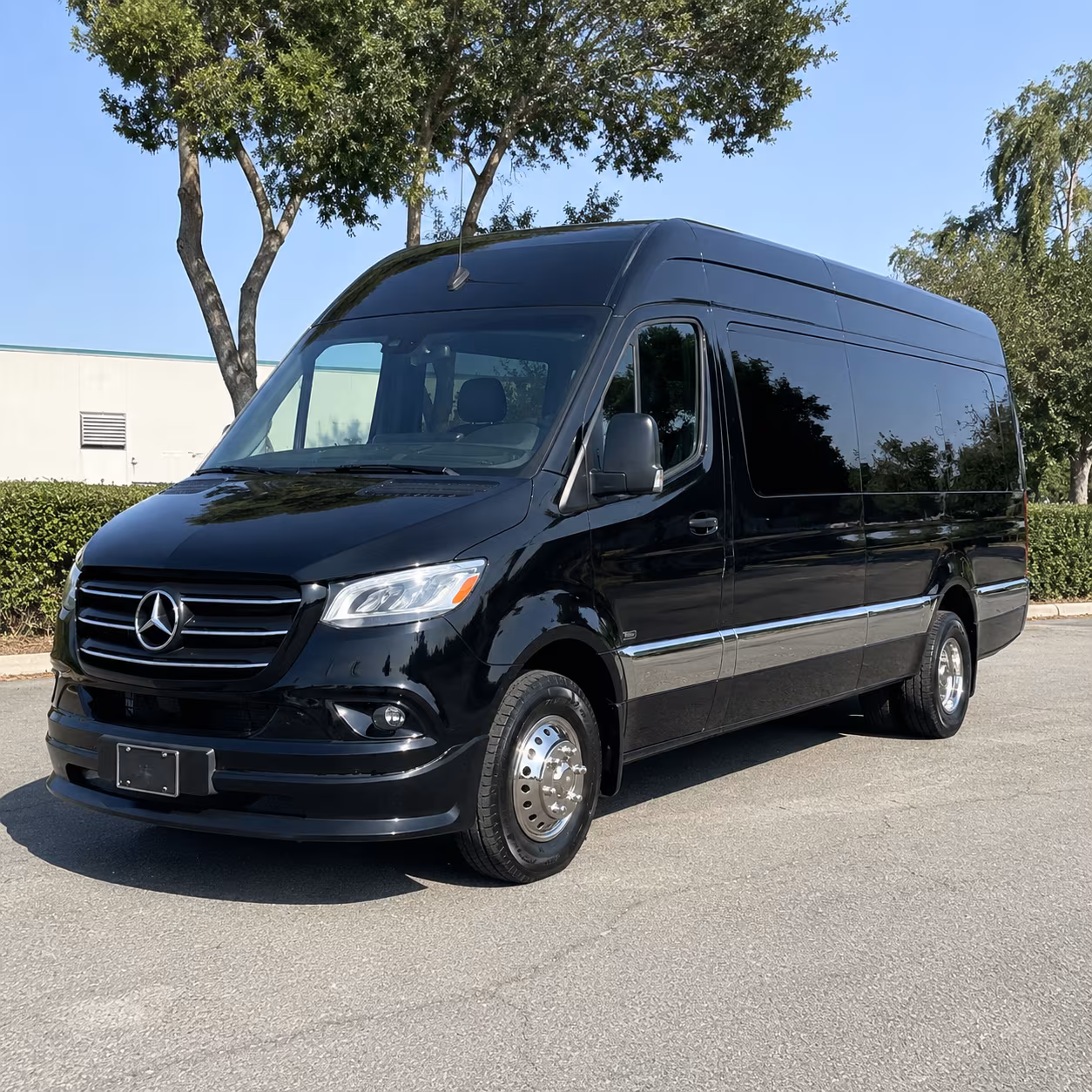 sprinter van with driver